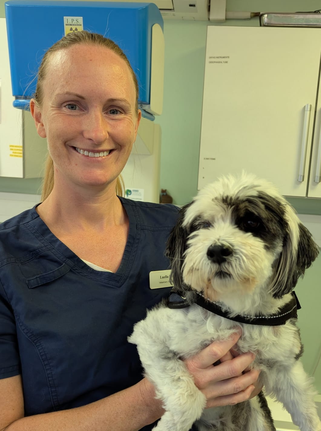 a39cd3ba-e6a6-48bf-b222-6adbe7ec36f9 (1)